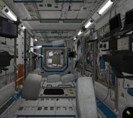 太空科學調查植物生長 太空科學調查植物生長