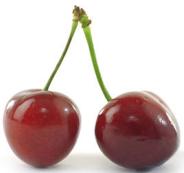 cherry[英文單詞]