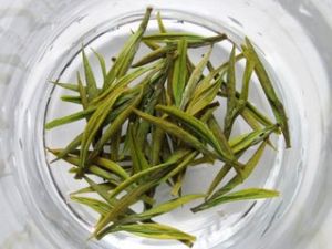 百竹源白茶 百竹源白茶