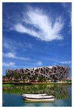 鳥巢飛來&amp;amp