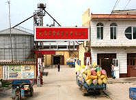 智成畜牧有限公司