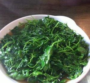 翠綠草頭 翠綠草頭