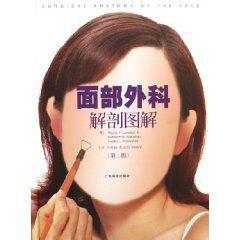 面部外科解剖圖解 面部外科解剖圖解