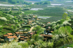 松嶺經營所 松嶺經營所