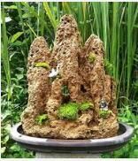 吸水石盆景 吸水石盆景