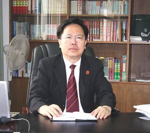 肖新平[長沙市中級人民法院院長]