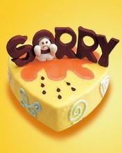 開胸理氣丸 開胸理氣丸