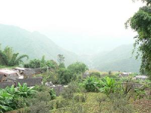 困木自然村 困木自然村