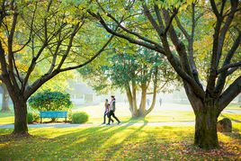 加拿大西三一大學 加拿大西三一大學