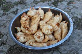 富硒天麻 富硒天麻