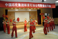 中國石化集團新星石油有限責任公司