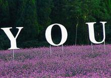 鳳凰塘橋&middot;香薰山谷