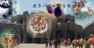 北京八達嶺野生動物世界
