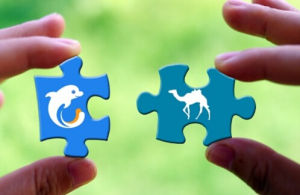 移動網際網路行業門戶 移動網際網路行業門戶