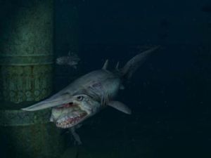 長須纖巨口魚 長須纖巨口魚