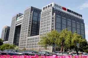 國家開發投資公司 國家開發投資公司