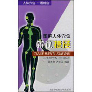 圖解人體穴位辨認捷徑 圖解人體穴位辨認捷徑