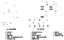 圖2 天饋線示意圖