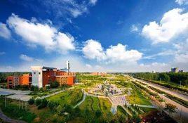 中國第一麵粉城 中國第一麵粉城