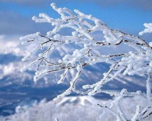 銀裝素裹 銀裝素裹