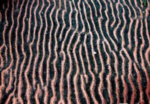 太行山海相沉積