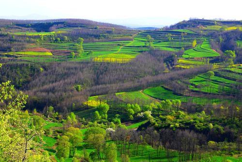 永壽縣黃土高原綜合治理林業示範項目建設