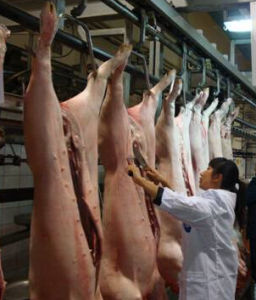 動物檢疫 動物檢疫