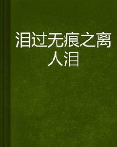 淚過無痕之離人淚 淚過無痕之離人淚