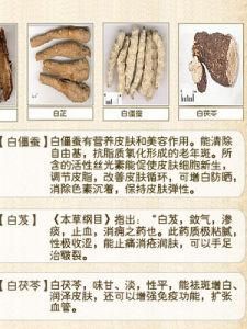 七子白面膜 七子白面膜