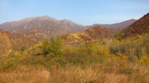 東靈山生態旅遊區 東靈山生態旅遊區