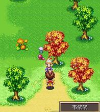 夢三國有情天地 夢三國有情天地