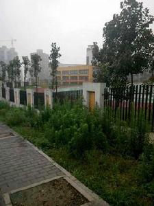 重慶濱江實驗學校 重慶濱江實驗學校