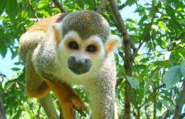 泰州動物園 泰州動物園