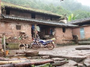 樺竹林自然村 樺竹林自然村