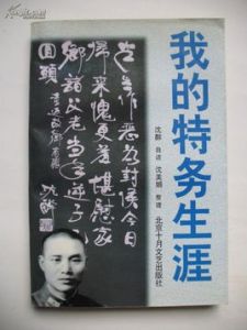 我的特務生涯 我的特務生涯