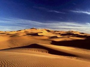 《四海漫遊》 《四海漫遊》