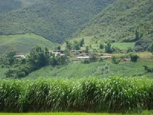 富強自然村[永善縣溪洛渡鎮吞都村下轄自然村]