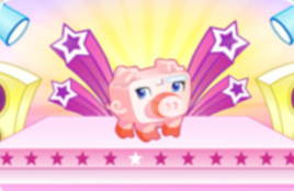 寶貝豬攝影師 寶貝豬攝影師