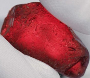 犀牛紅寶石 犀牛紅寶石