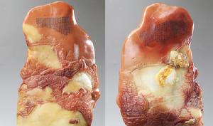 十朝都會南京城 十朝都會南京城