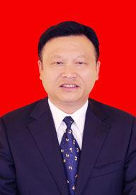 張應林[銅仁市碧江區人大常委會副主任]