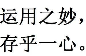 運用之妙,存乎一心 運用之妙,存乎一心
