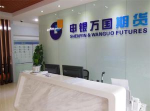 上海申銀萬國證券研究所有限公司 上海申銀萬國證券研究所有限公司