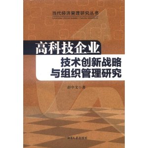 高科技企業技術創新戰略與組織管理研究