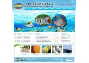 廣西威華貿易股份有限公司 廣西威華貿易股份有限公司