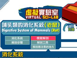 解剖小白鼠教程 解剖小白鼠教程