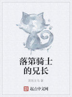 落第騎士的兄長 落第騎士的兄長