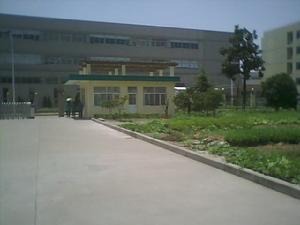 東莞茶山盧邊華聯玩具廠 東莞茶山盧邊華聯玩具廠