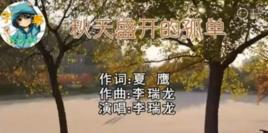 秋天盛開的孤單 秋天盛開的孤單