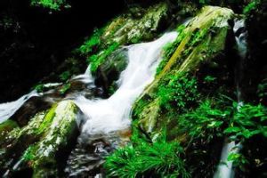 劍河風景名勝區 劍河風景名勝區